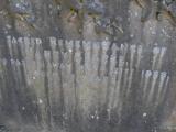 image of grave number 171699